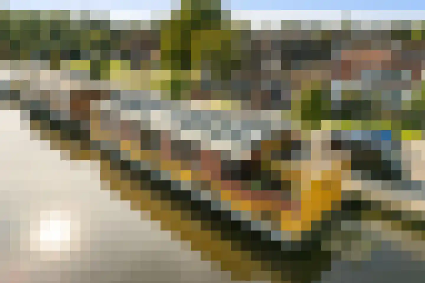 Zuidervaartdijk 112 ROOD Krommenie thumbnail 60