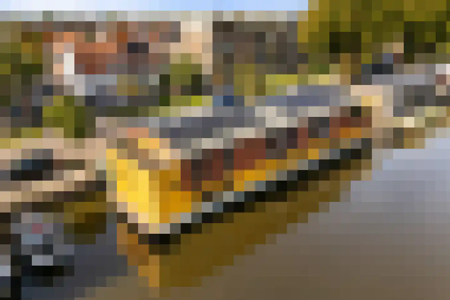 Zuidervaartdijk 112 ROOD Krommenie thumbnail 61