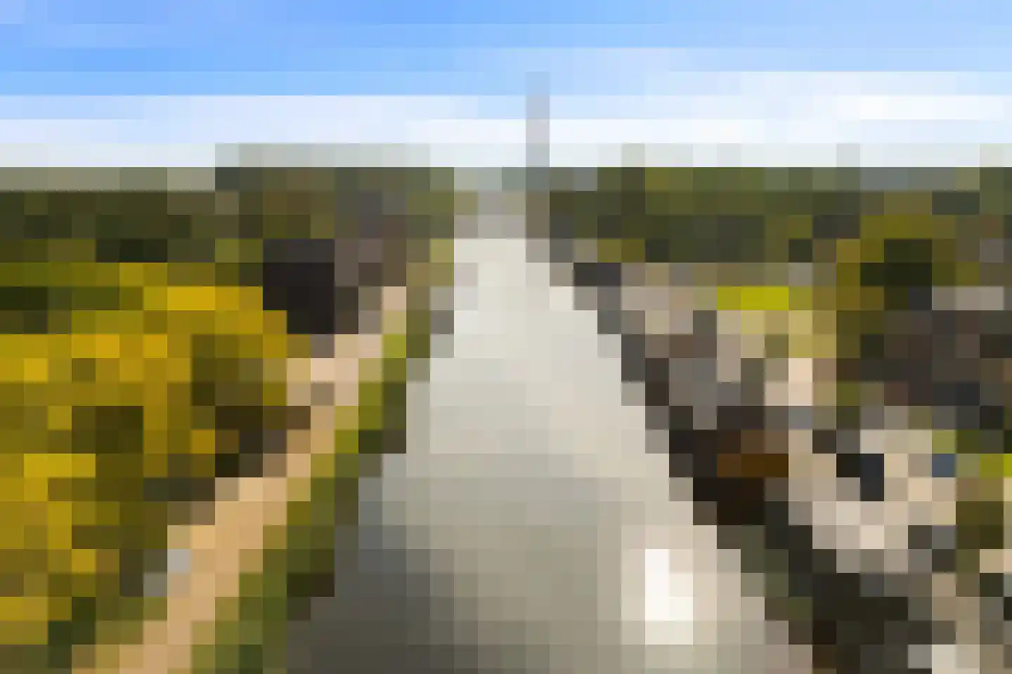 Zuidervaartdijk 112 ROOD Krommenie thumbnail 65