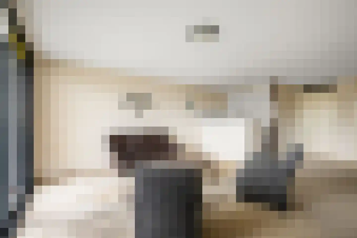 Zuidervaartdijk 31 Krommenie thumbnail 18
