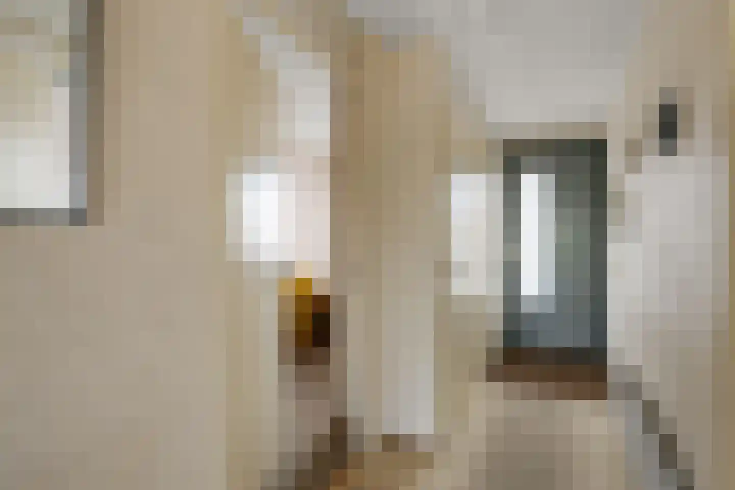 Zuidervaartdijk 31 Krommenie thumbnail 5