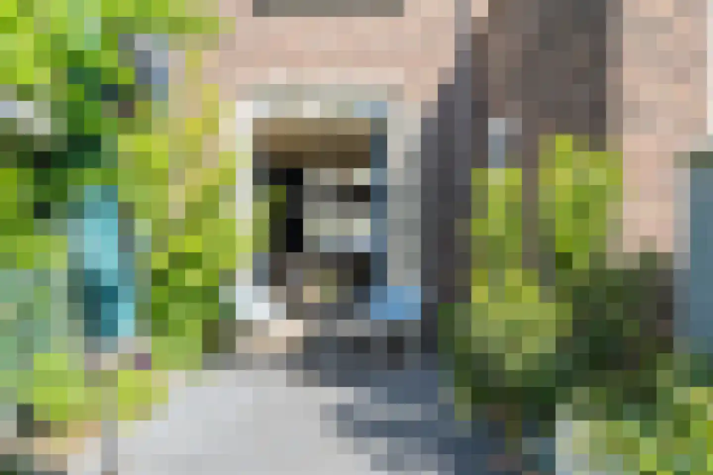Zuidervaldeurstraat 25 B Zaandam thumbnail 22