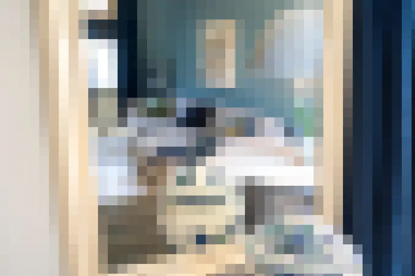 Zuidervaldeurstraat 25 B Zaandam thumbnail 8