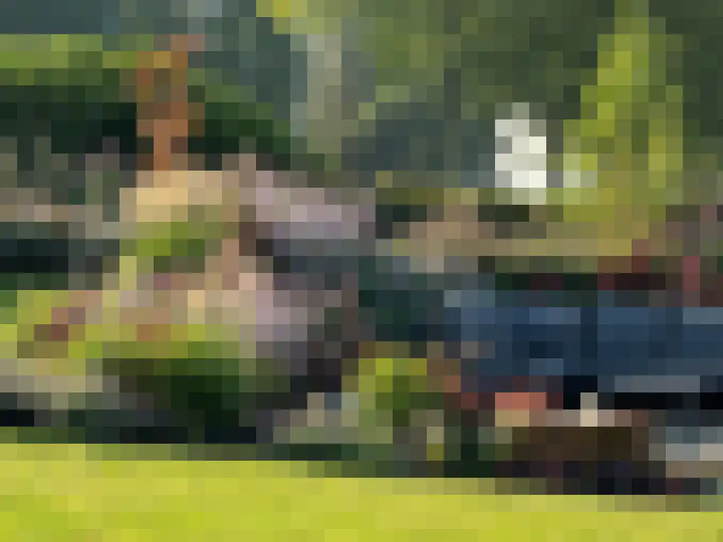 Zuiderveen 17 Winschoten thumbnail 101