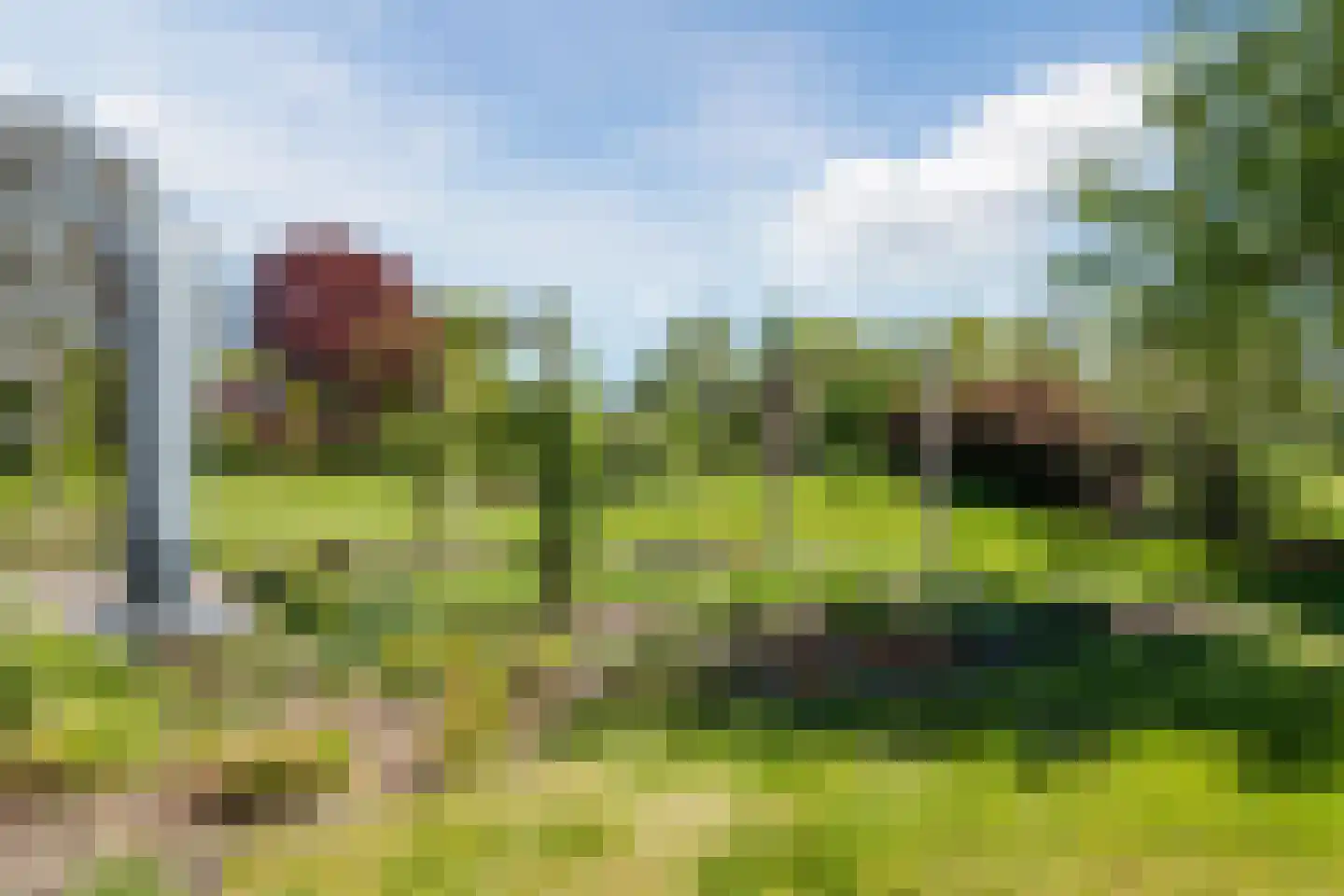 Zuiderveen 17 Winschoten thumbnail 62
