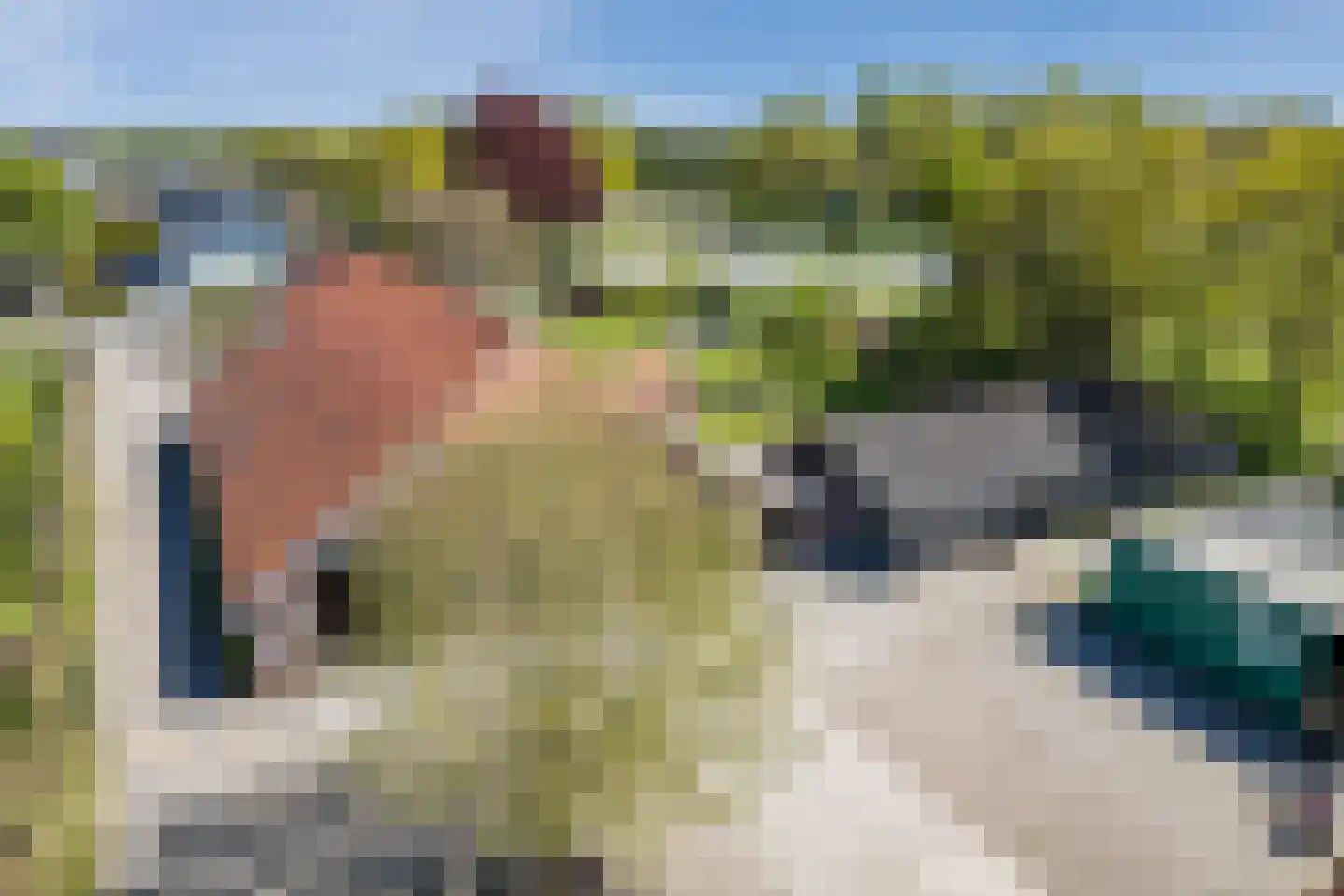 Zuiderveen 17 Winschoten thumbnail 97