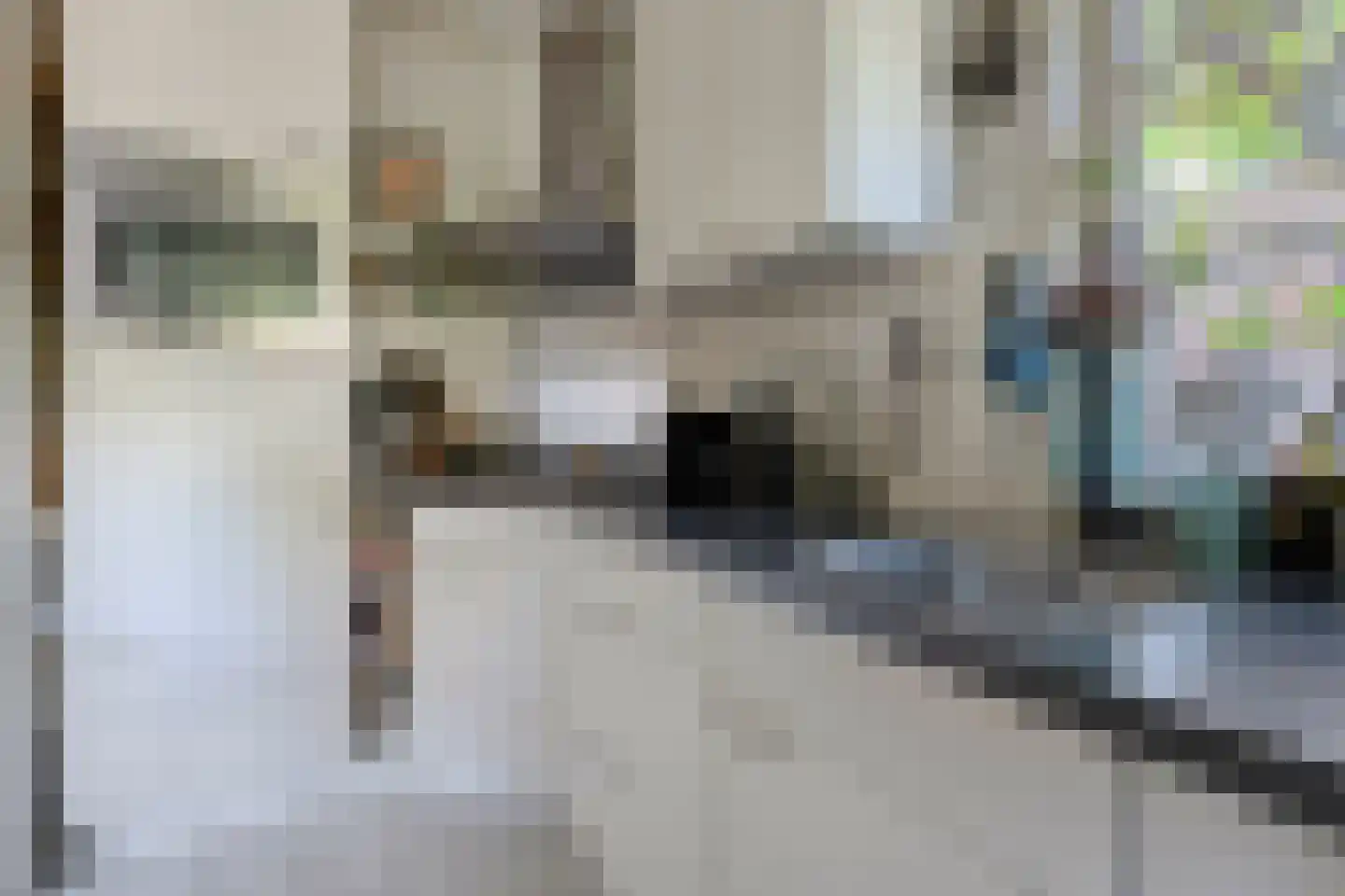 Zuiderveen 2 Winschoten thumbnail 21
