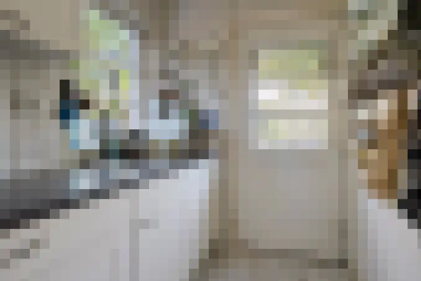 Zuiderveen 2 Winschoten thumbnail 22