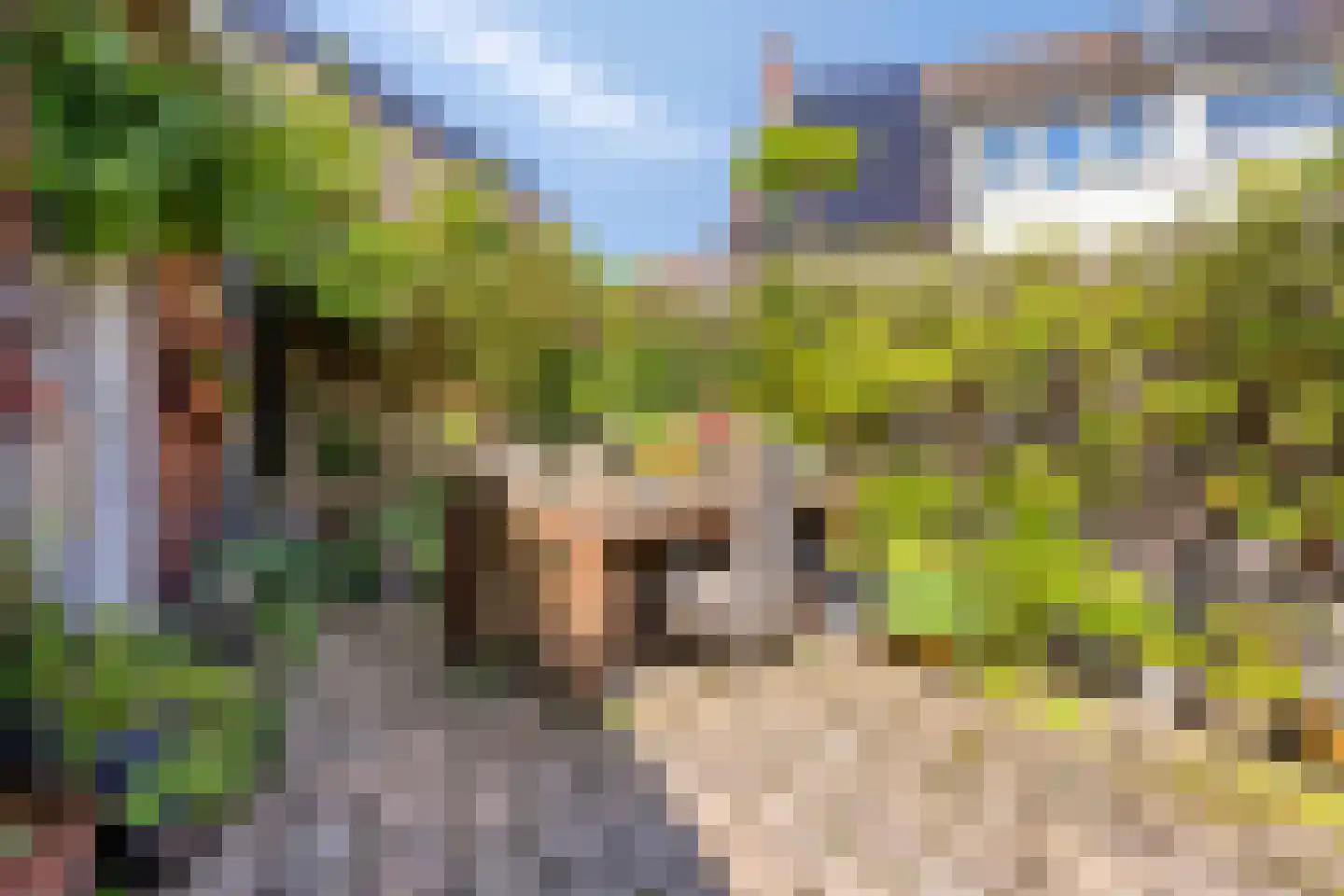 Zuiderveen 2 Winschoten thumbnail 33