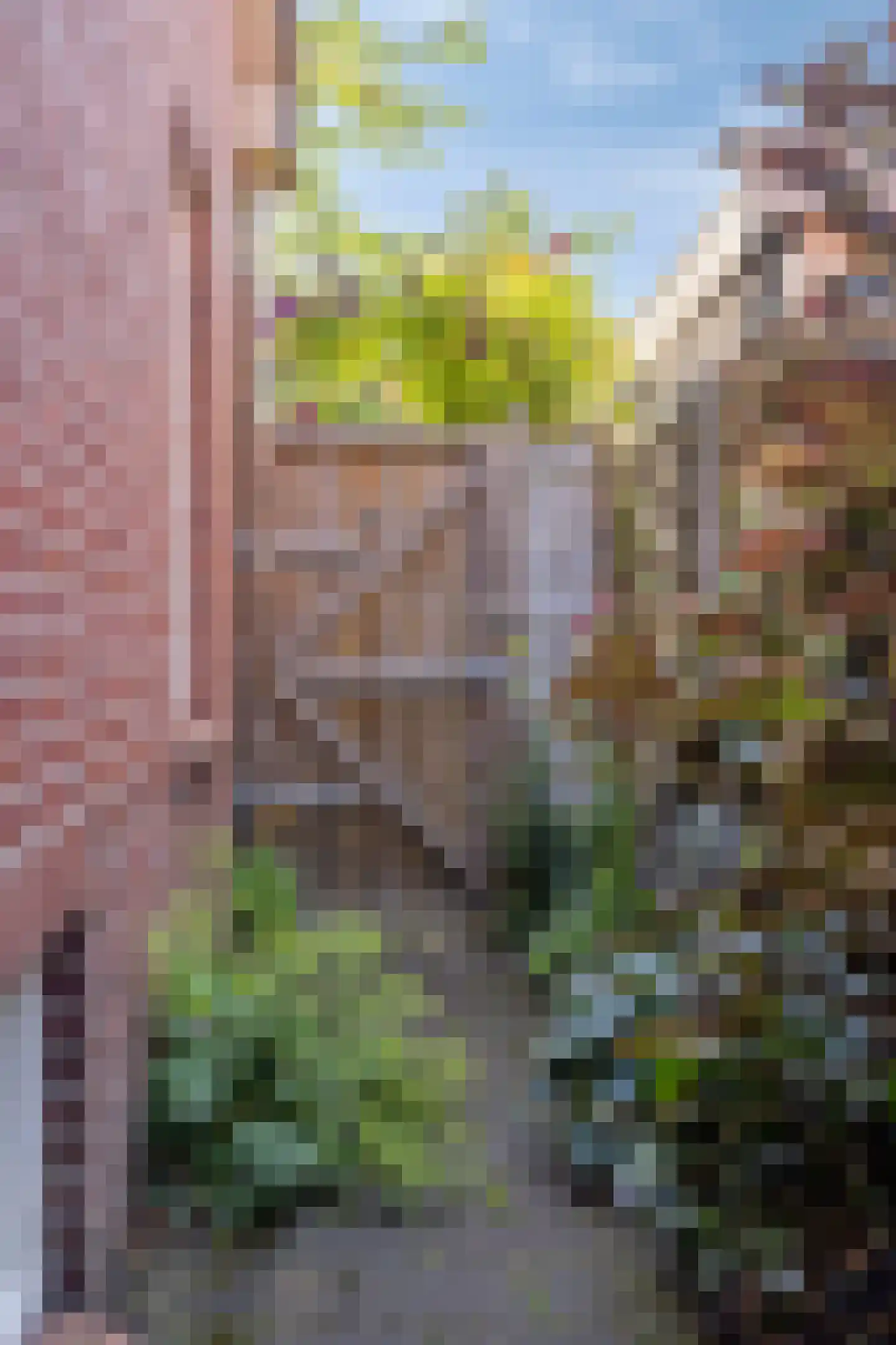 Zuiderveen 2 Winschoten thumbnail 34