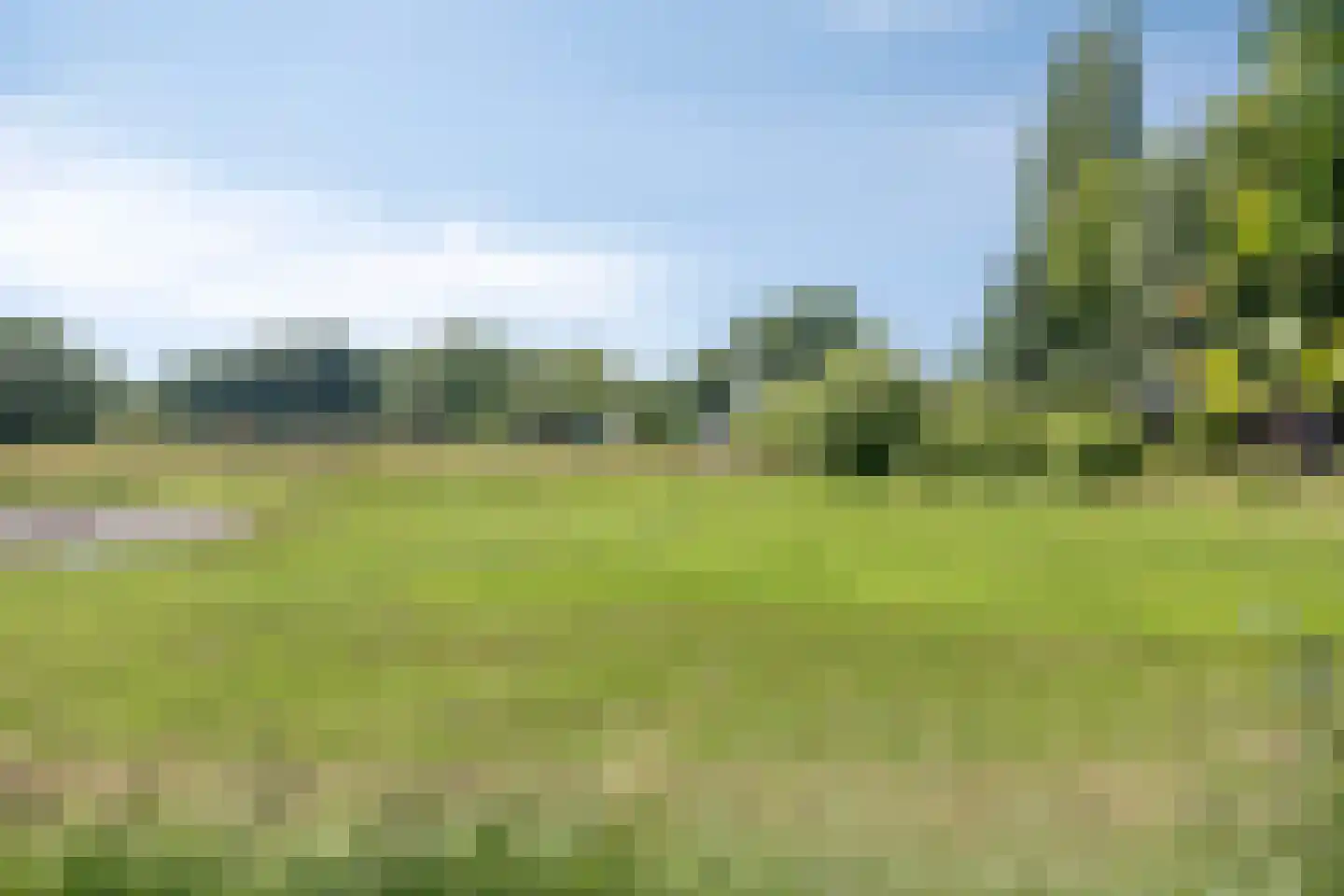 Zuiderveen 2 Winschoten thumbnail 36