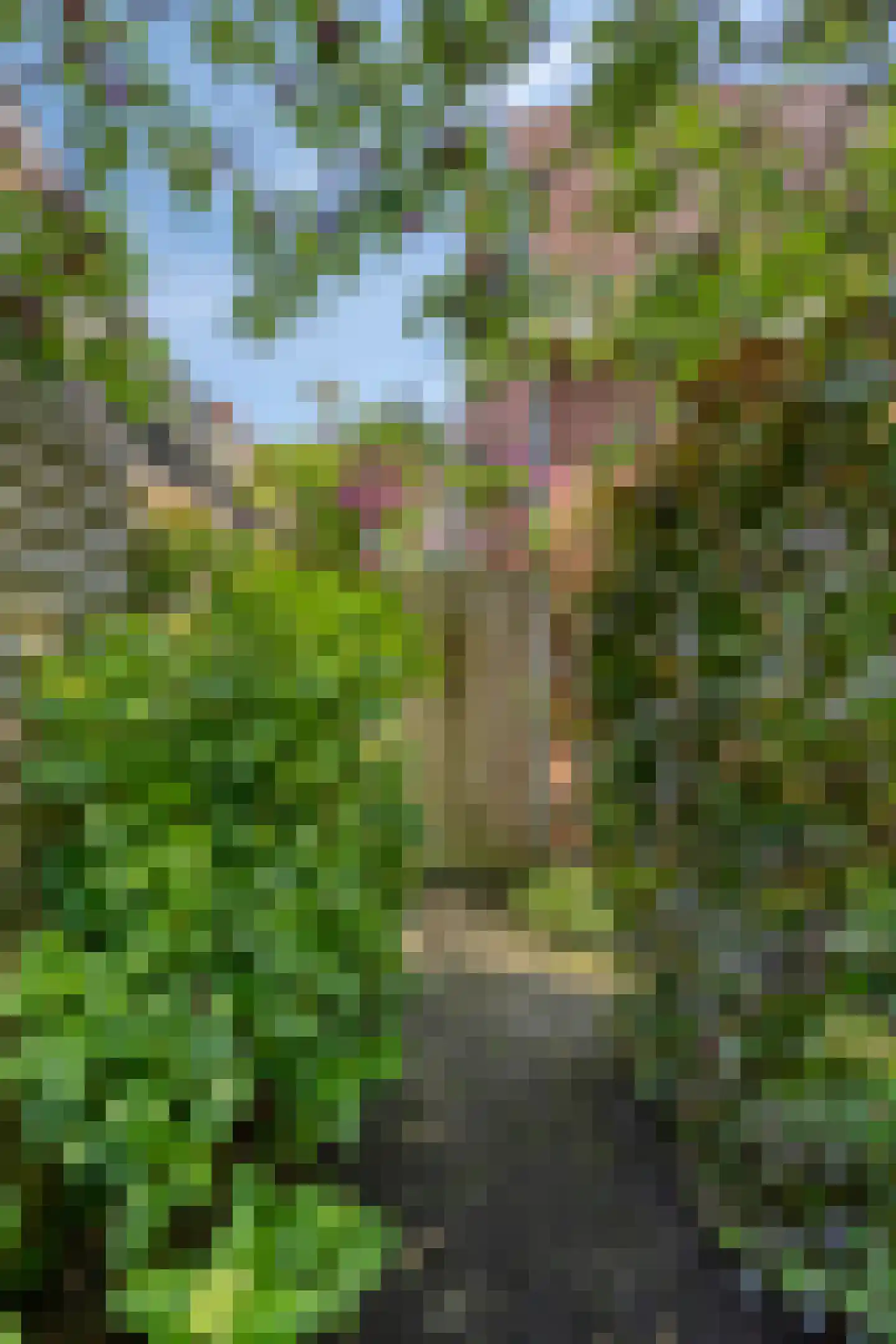 Zuiderveen 2 Winschoten thumbnail 7