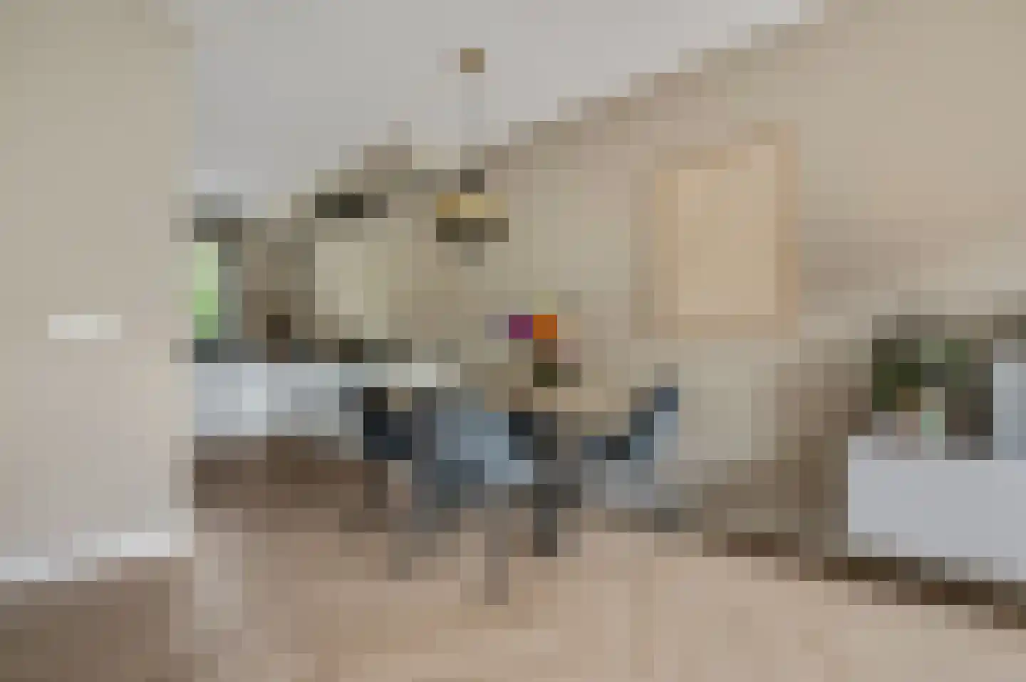 Zuiderveen 62 Ede thumbnail 8