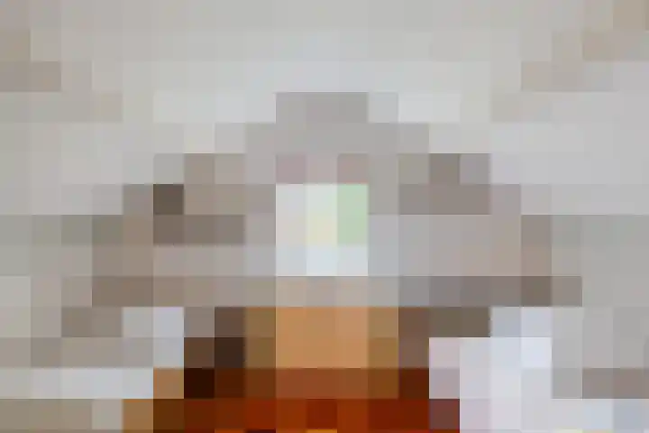 Zuiderveensterweg 31 Oude Pekela thumbnail 36
