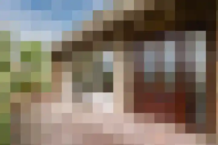 Zuiderveensterweg 31 Oude Pekela thumbnail 4