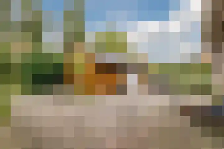 Zuiderveensterweg 31 Oude Pekela thumbnail 40