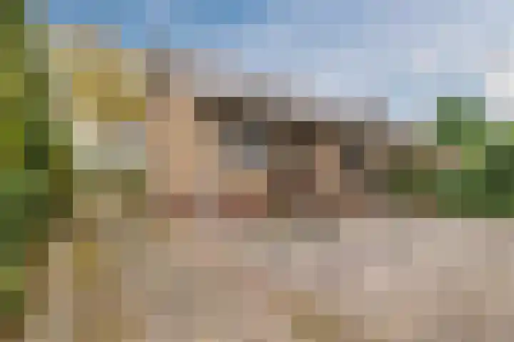 Zuiderveensterweg 31 Oude Pekela thumbnail 41
