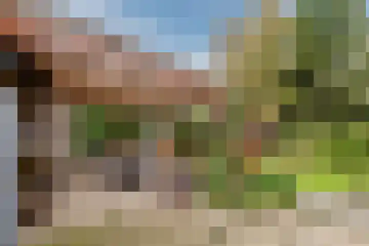 Zuiderveensterweg 31 Oude Pekela thumbnail 42