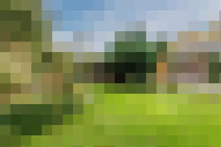 Zuiderveensterweg 31 Oude Pekela thumbnail 44