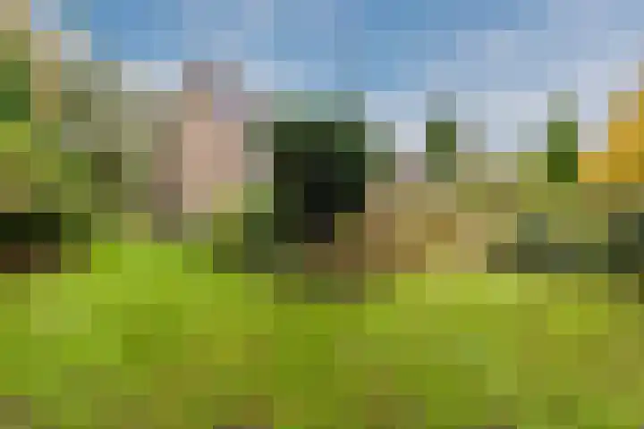 Zuiderveensterweg 31 Oude Pekela thumbnail 46