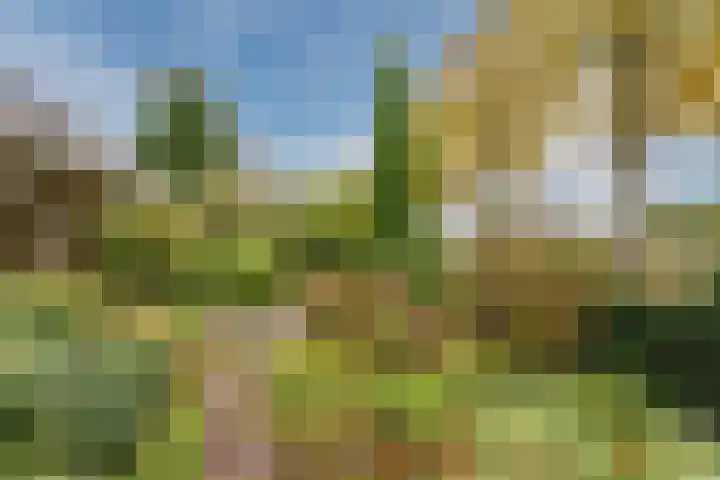 Zuiderveensterweg 31 Oude Pekela thumbnail 48