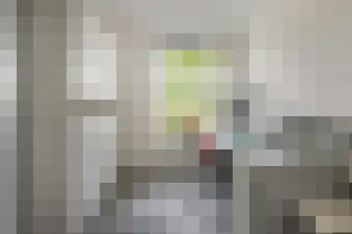 Zuiderveldhof 3 Joure thumbnail 11