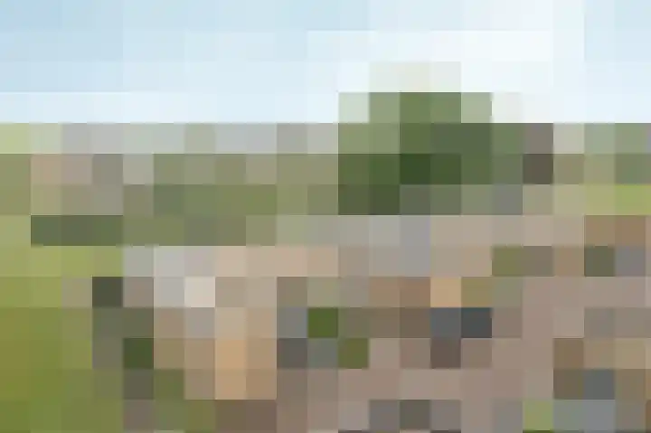 Zuiderveldhof 3 Joure thumbnail 25