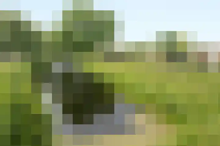 Zuiderveldhof 3 Joure thumbnail 26