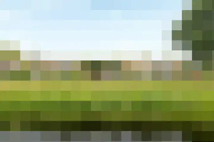 Zuiderveldhof 3 Joure thumbnail 27