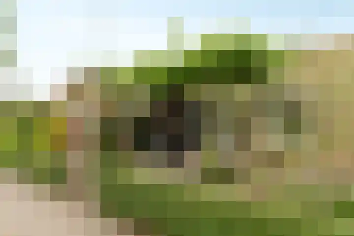 Zuiderveldhof 3 Joure thumbnail 28