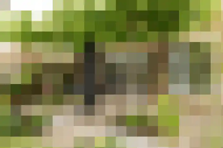 Zuiderveldhof 3 Joure thumbnail 29