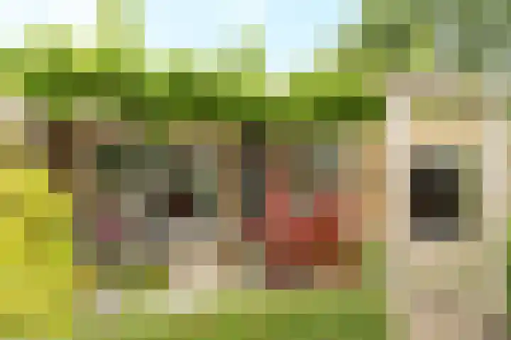 Zuiderveldhof 3 Joure thumbnail 30