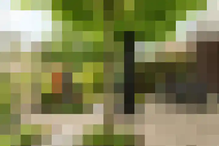 Zuiderveldhof 3 Joure thumbnail 31