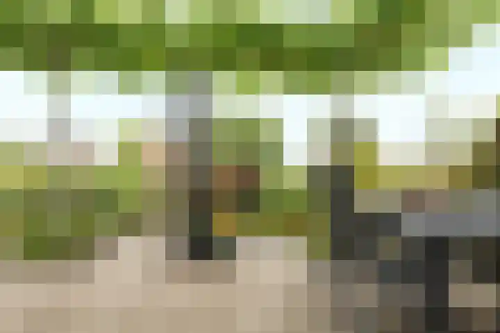 Zuiderveldhof 3 Joure thumbnail 32