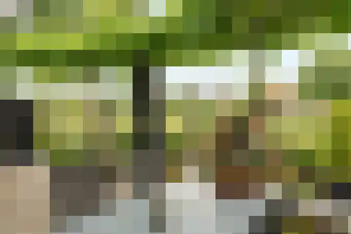 Zuiderveldhof 3 Joure thumbnail 33