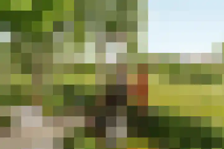 Zuiderveldhof 3 Joure thumbnail 34