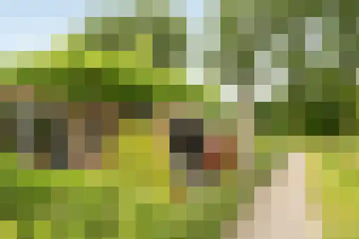 Zuiderveldhof 3 Joure thumbnail 35