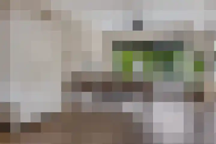 Zuiderveldstraat 26 Joure thumbnail 13