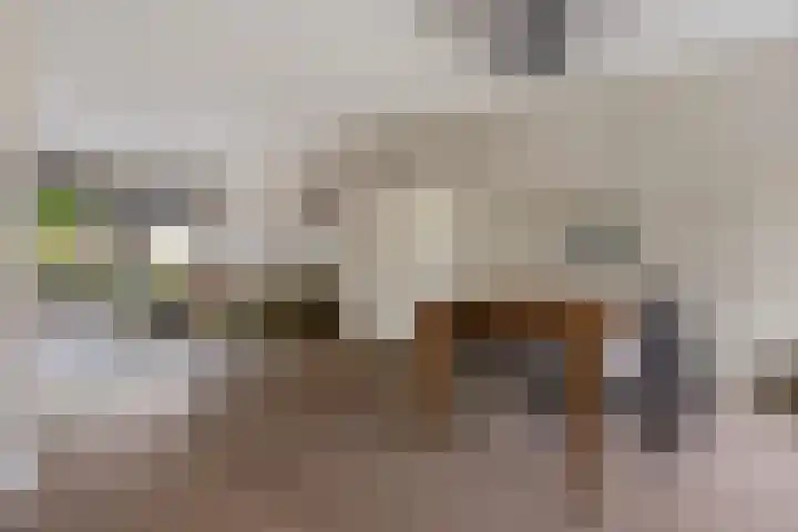 Zuiderveldstraat 26 Joure thumbnail 14