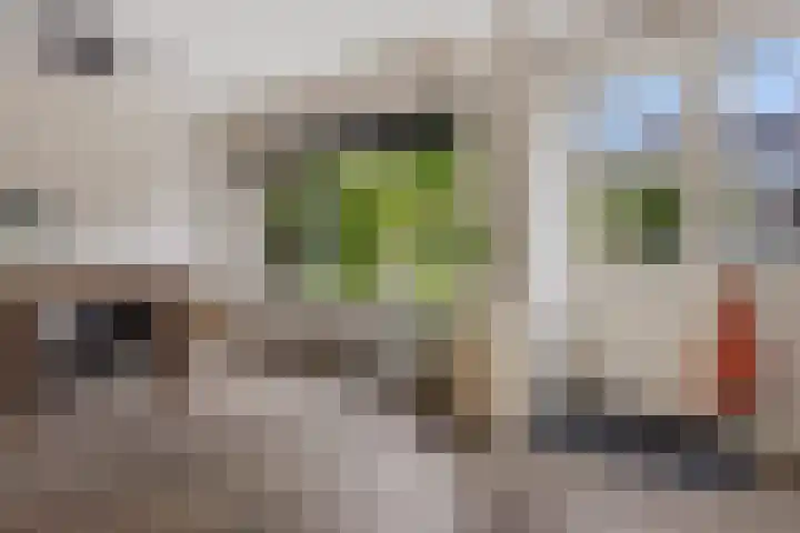 Zuiderveldstraat 26 Joure thumbnail 15