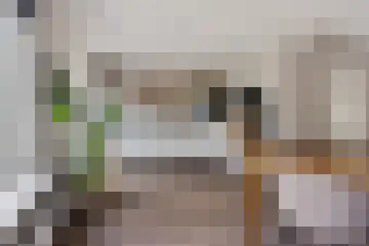 Zuiderveldstraat 26 Joure thumbnail 16