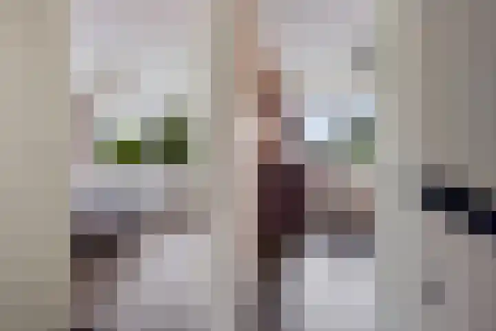 Zuiderveldstraat 26 Joure thumbnail 24