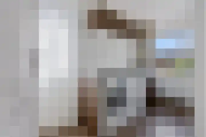 Zuiderveldstraat 26 Joure thumbnail 30