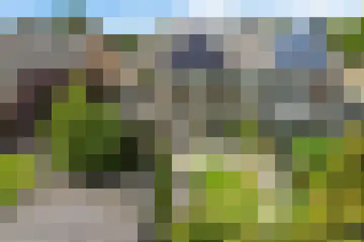 Zuiderveldstraat 26 Joure thumbnail 36