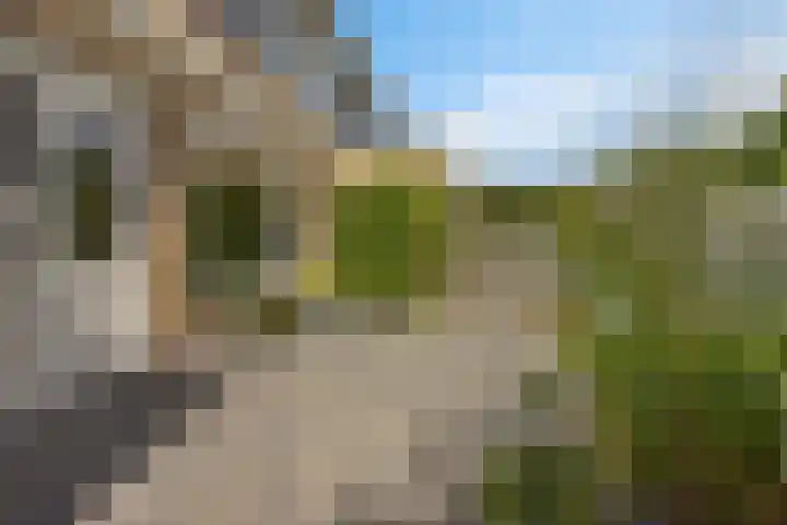 Zuiderveldstraat 26 Joure thumbnail 38