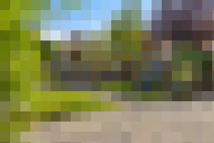 Zuiderveldstraat 26 Joure thumbnail 41