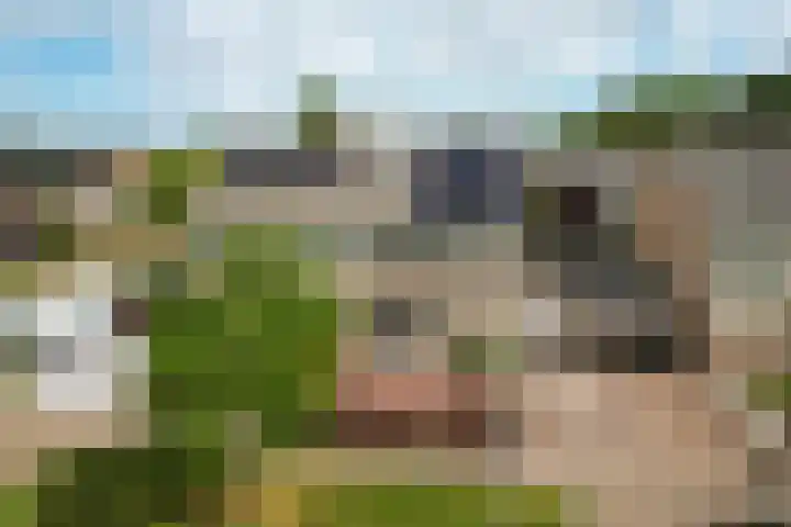Zuiderveldstraat 26 Joure thumbnail 46
