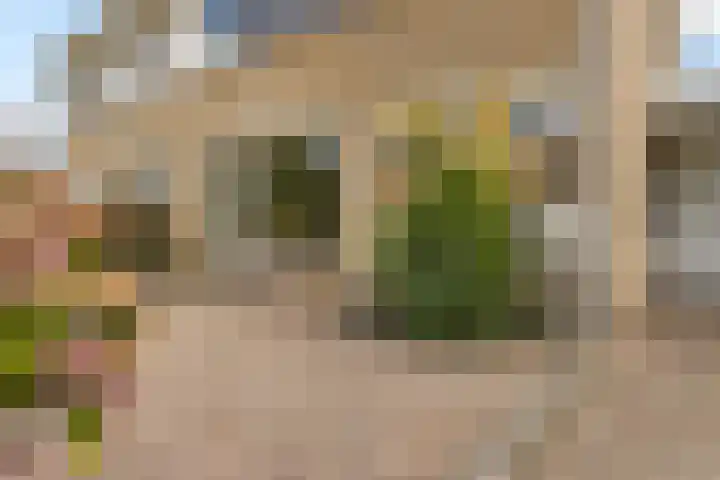 Zuiderveldstraat 26 Joure thumbnail 7