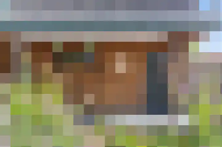 Zuiderveldstraat 35 Joure thumbnail 36