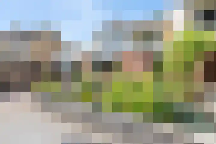 Zuiderveldstraat 35 Joure thumbnail 38